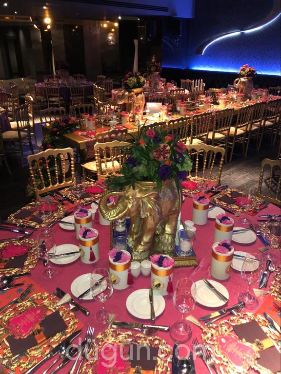 Cansu Gökçe Organizasyon