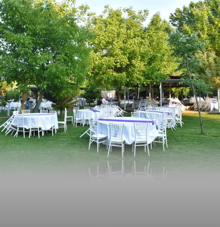 Hayal Bahçesi