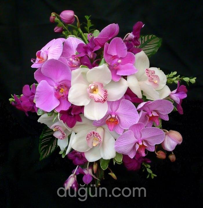 Sabuncakis Çiçekçilik