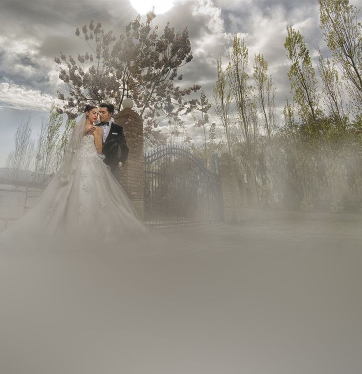 Net Photography