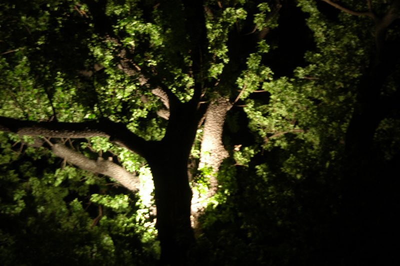 Nispet Park (Garden Doğa)