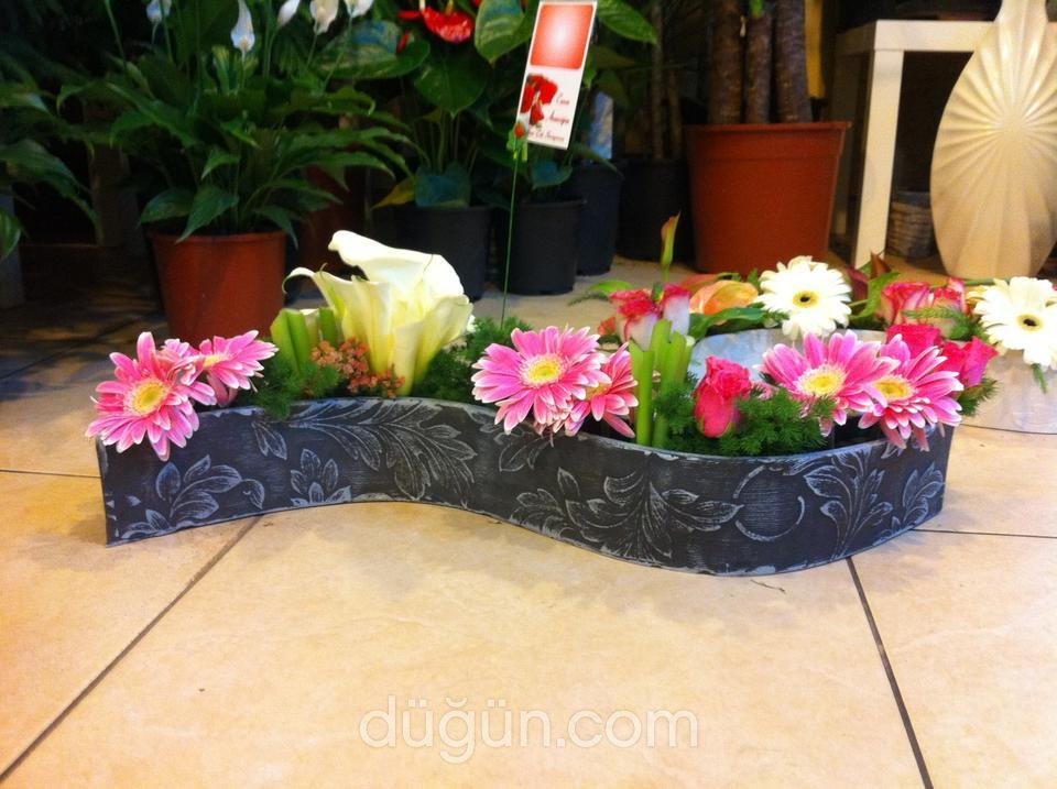 Açelya Çiçekçilik