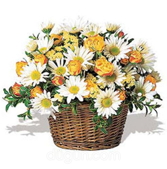 Açelya Çiçekçilik