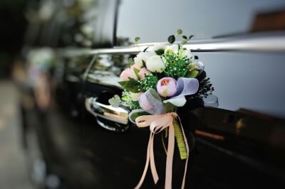 penny blooms & beans