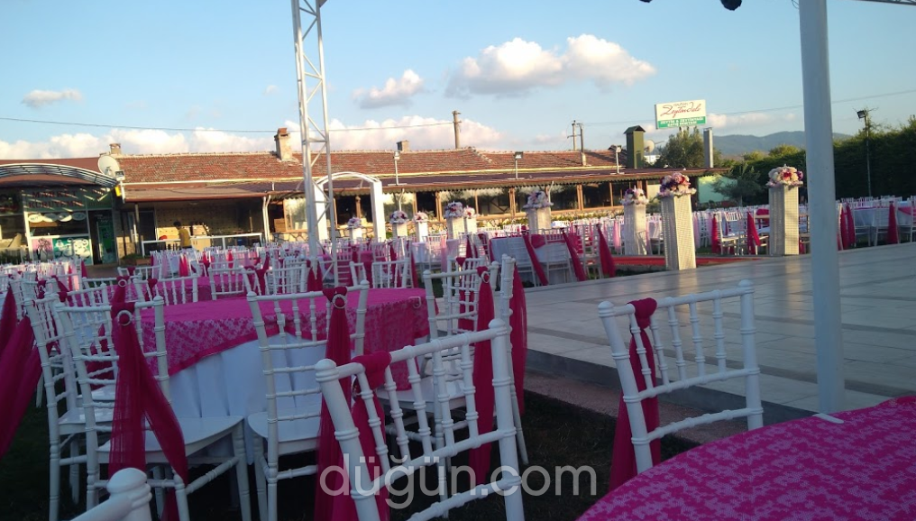 Zeytindalı Düğün Salonu