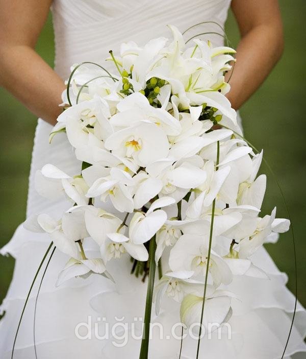 Gelincik Çicek ve Organizasyon