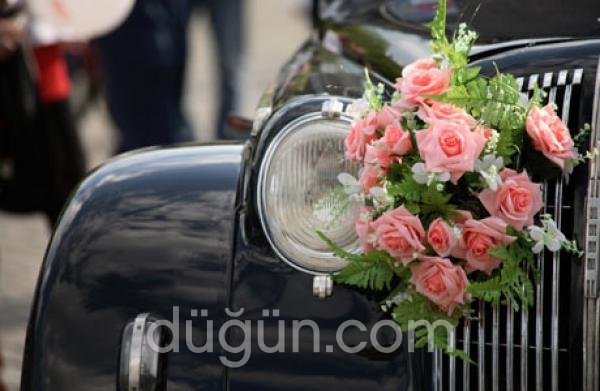 Gelincik Çicek ve Organizasyon