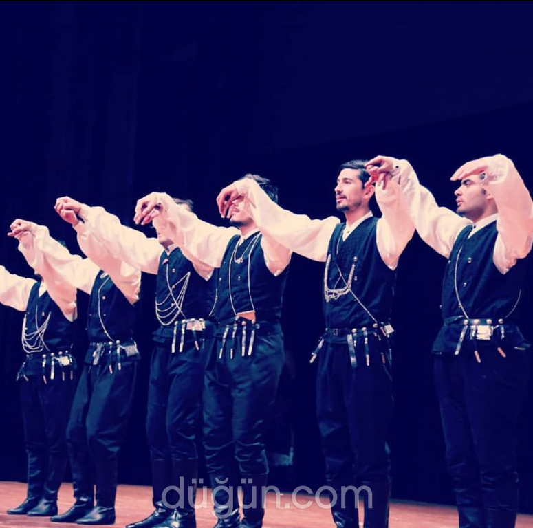 Armoni Dans ve Müzik Akademisi