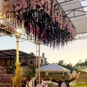 Armoni Dans ve Müzik Akademisi