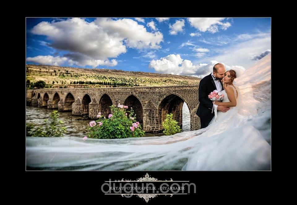 Hayat Fotoğrafçılık