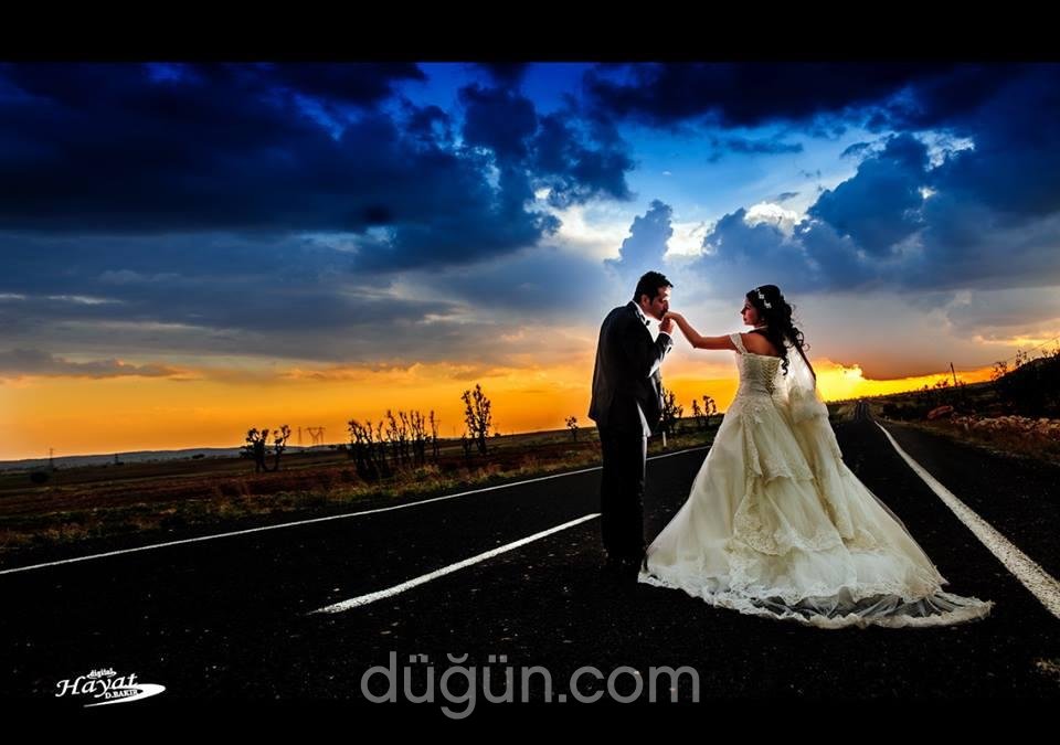 Hayat Fotoğrafçılık