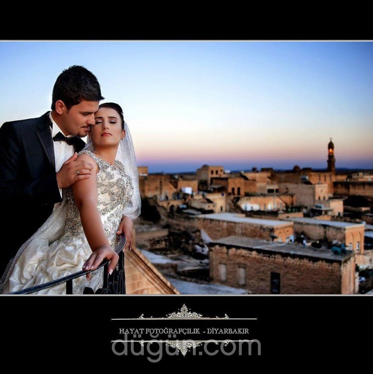 Hayat Fotoğrafçılık