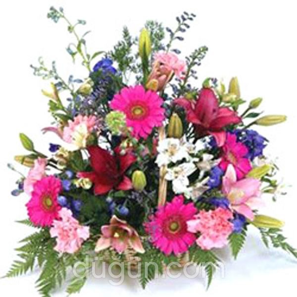 Tarihi İzmir Çiçekçilik