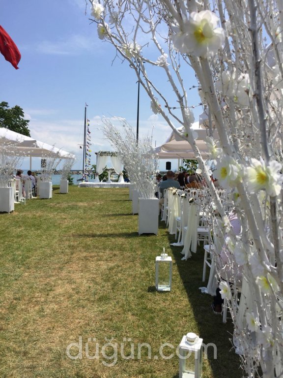 Okyanus Organizasyon