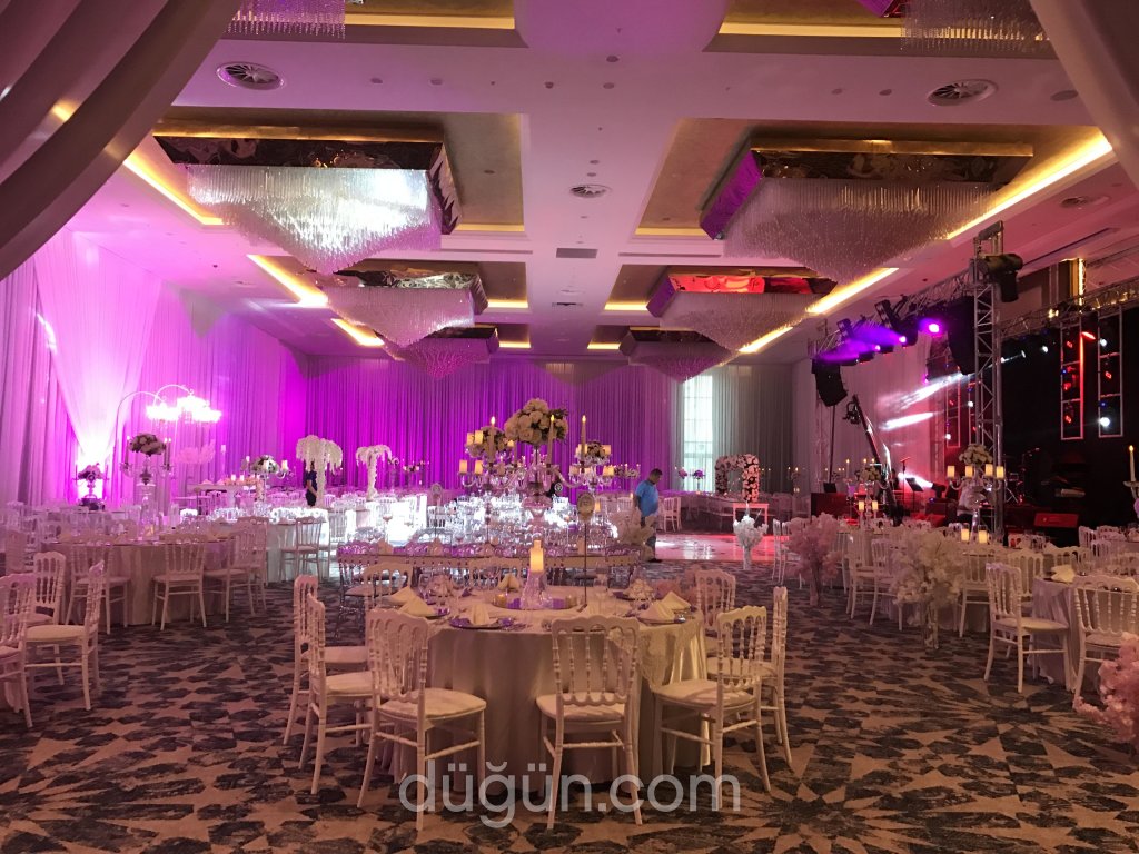 Okyanus Organizasyon