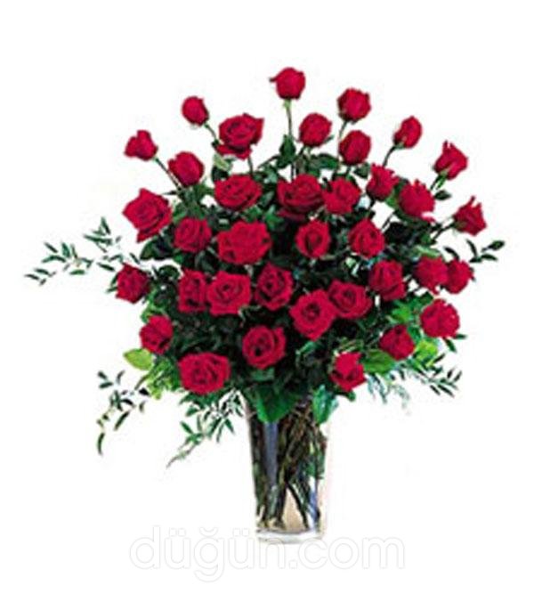 Ankara Çiçekçilik