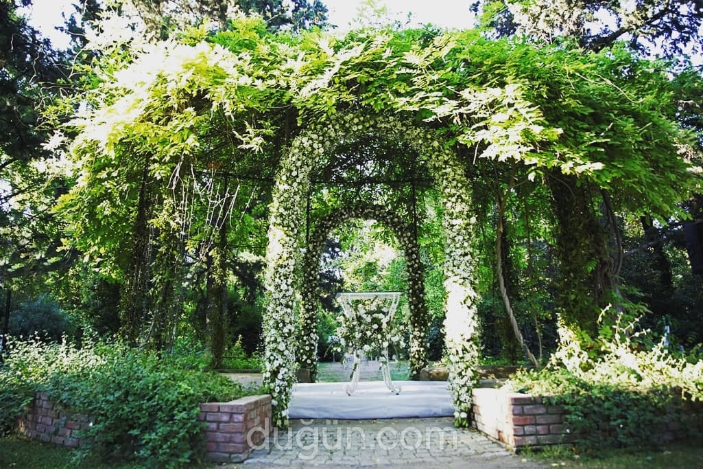 Edward Whittall Garden