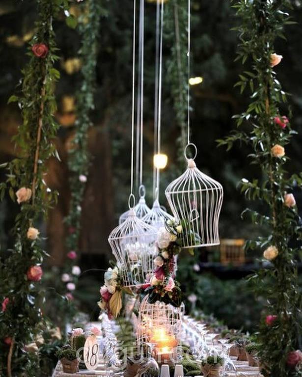 Edward Whittall Garden