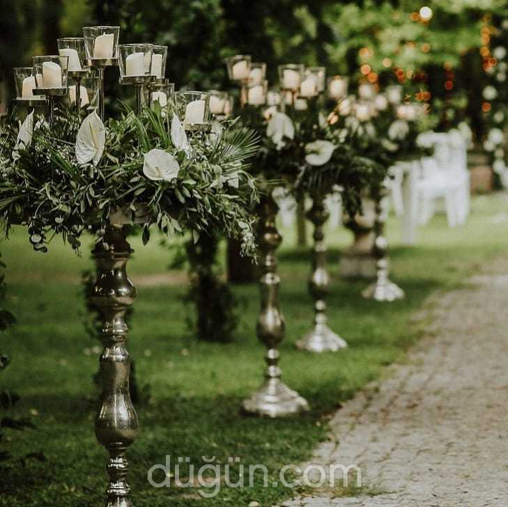 Edward Whittall Garden