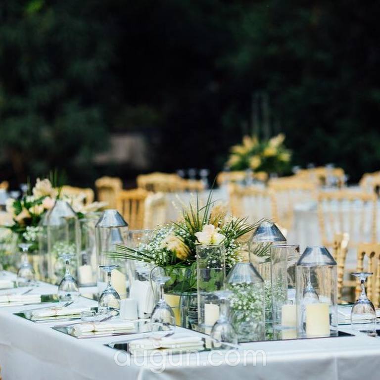 Edward Whittall Garden