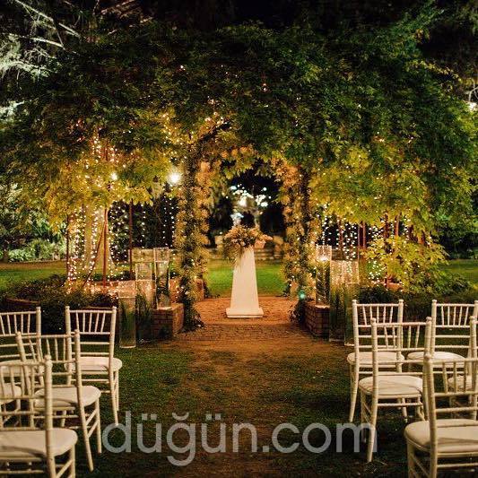 Edward Whittall Garden