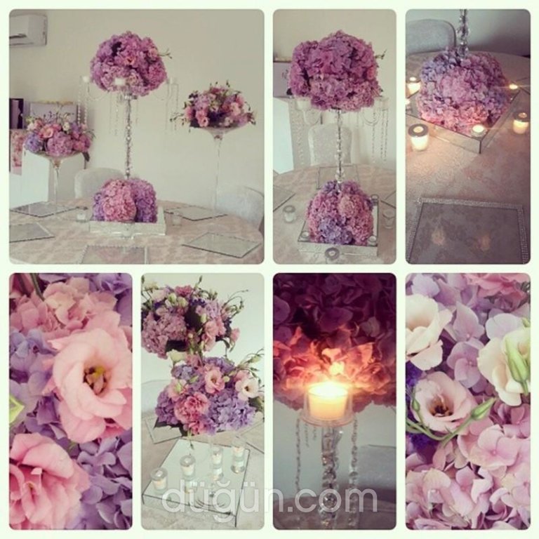 Eleda Davet Organizasyon