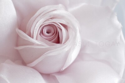 Aslı Togay Bride Accessories