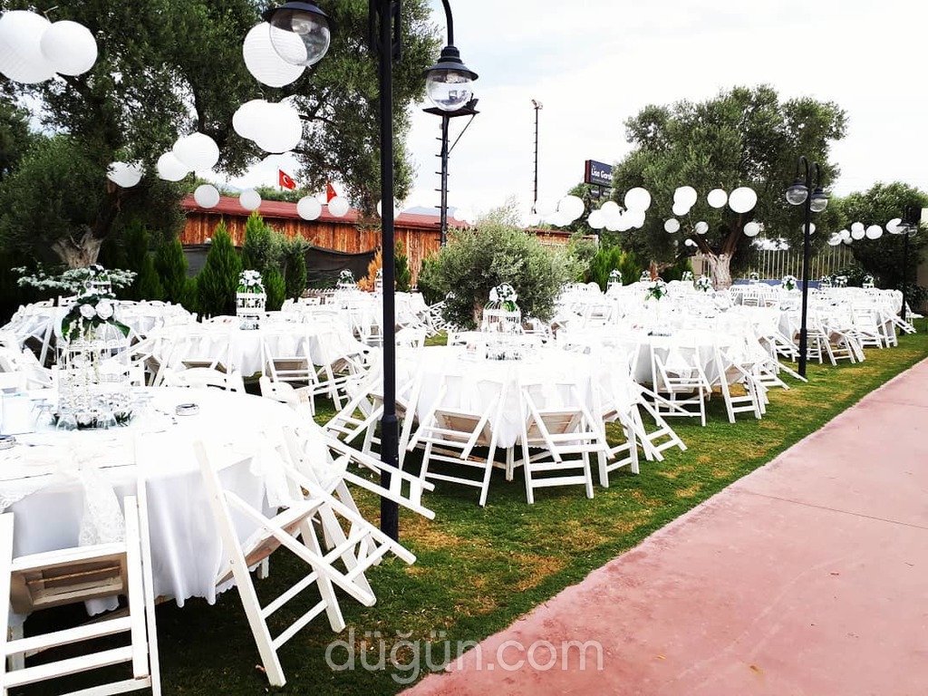 Lisa Çiçekçilik & Organizasyon