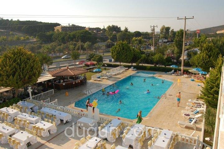 The Palm Club Wedding