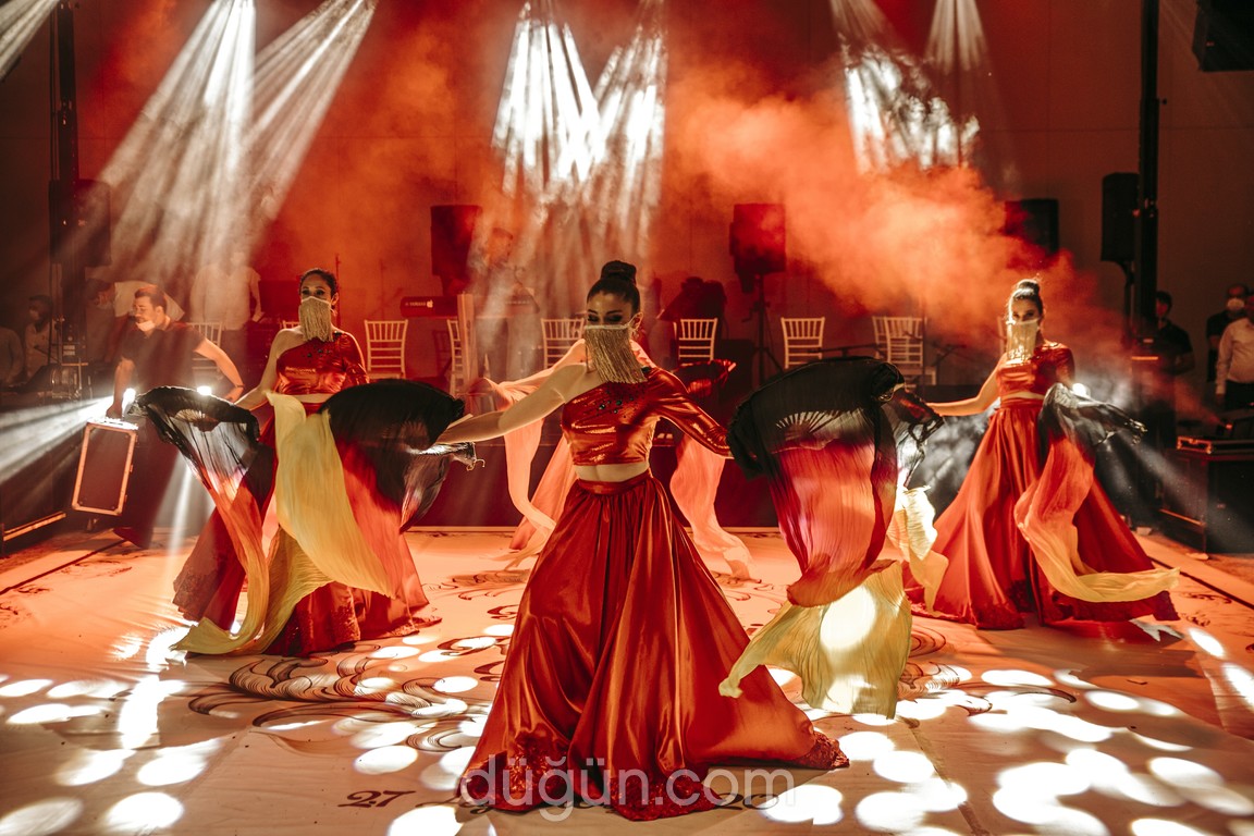 Hanedan Organizasyon