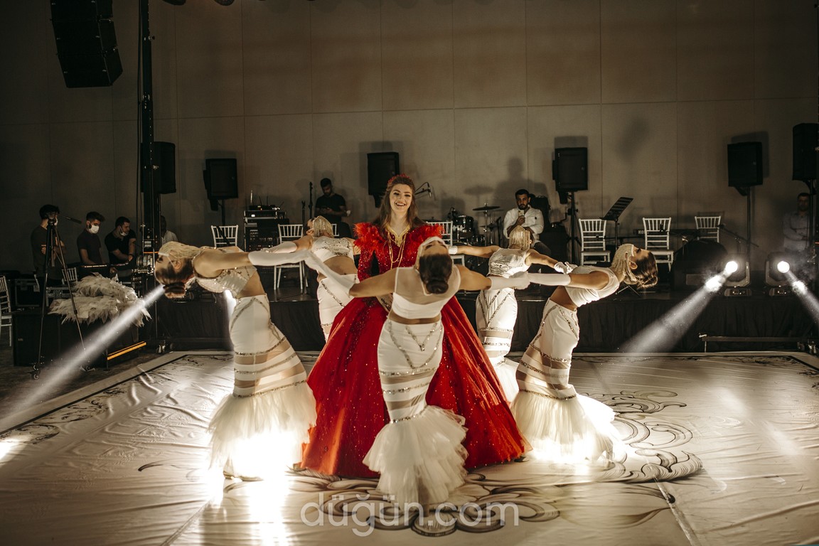 Hanedan Organizasyon