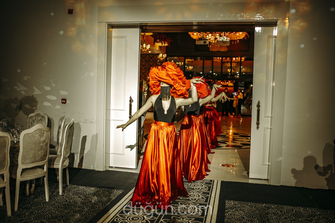 Hanedan Organizasyon