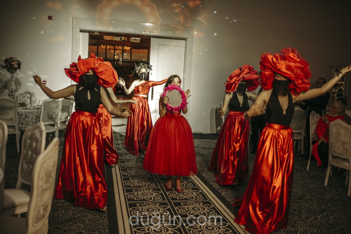 Hanedan Organizasyon