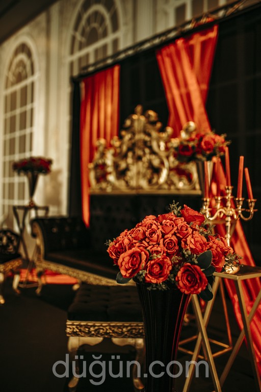 Hanedan Organizasyon