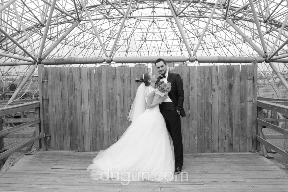 Serap Doğanyi̇ği̇t Photography