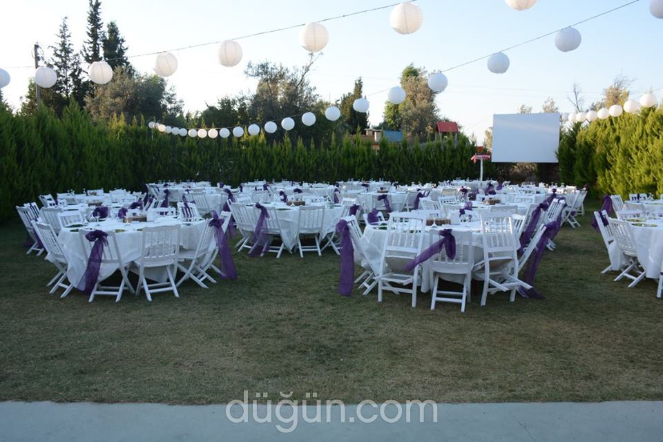 Eflatun Düğün Davet