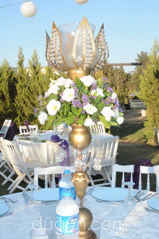 Eflatun Düğün Davet