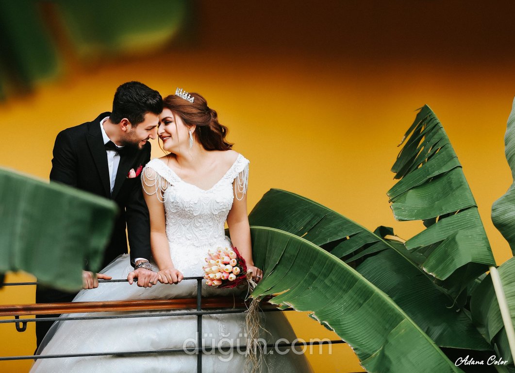 Adana Color / Fotoğraf Stüdyosu