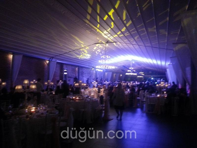 Dg Müzik / Deniz Güleçin