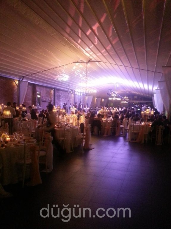 Dg Müzik / Deniz Güleçin