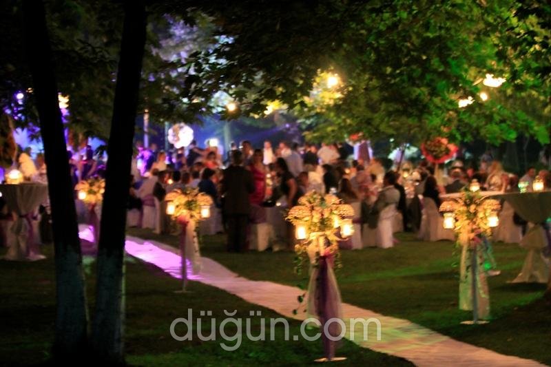 Alternatif Organizasyon ve Havai Fişek