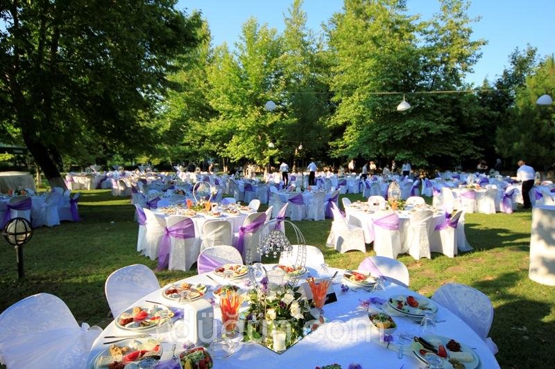 Alternatif Organizasyon ve Havai Fişek