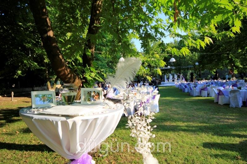 Alternatif Organizasyon ve Havai Fişek