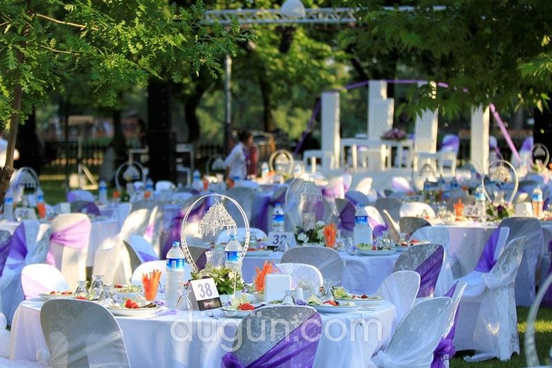 Alternatif Organizasyon ve Havai Fişek