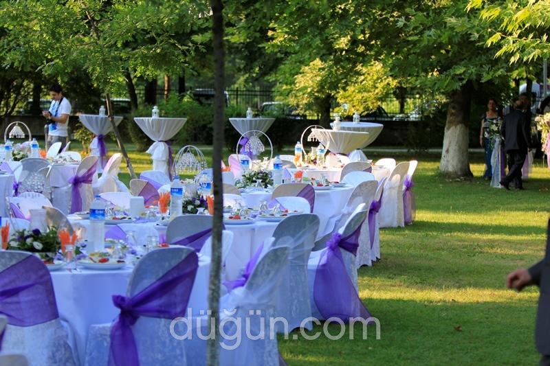 Alternatif Organizasyon ve Havai Fişek