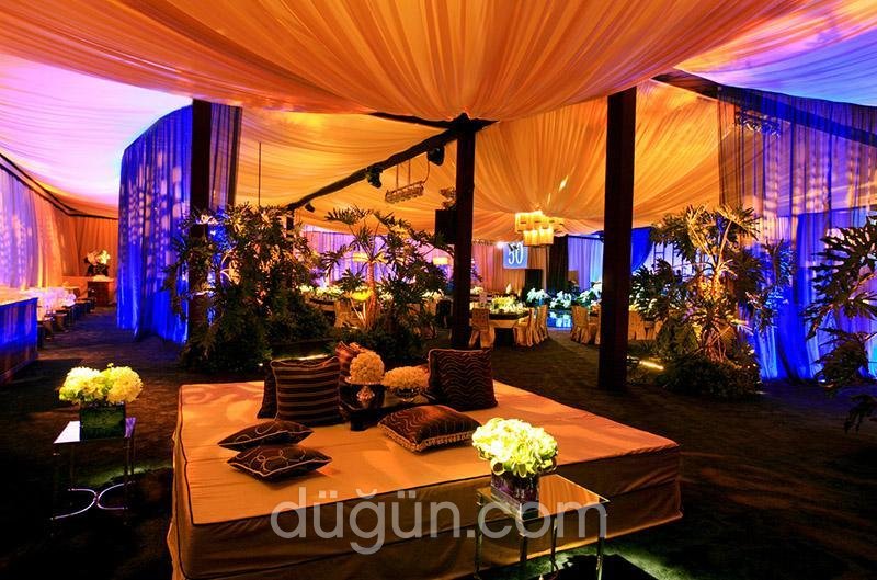 Ottoman Still Organizasyon