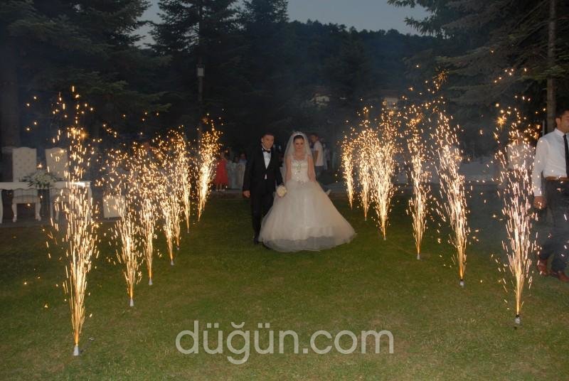 Kutlu Davet & Organizasyon