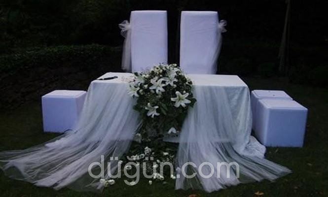 Beyza Davet & Organizasyon