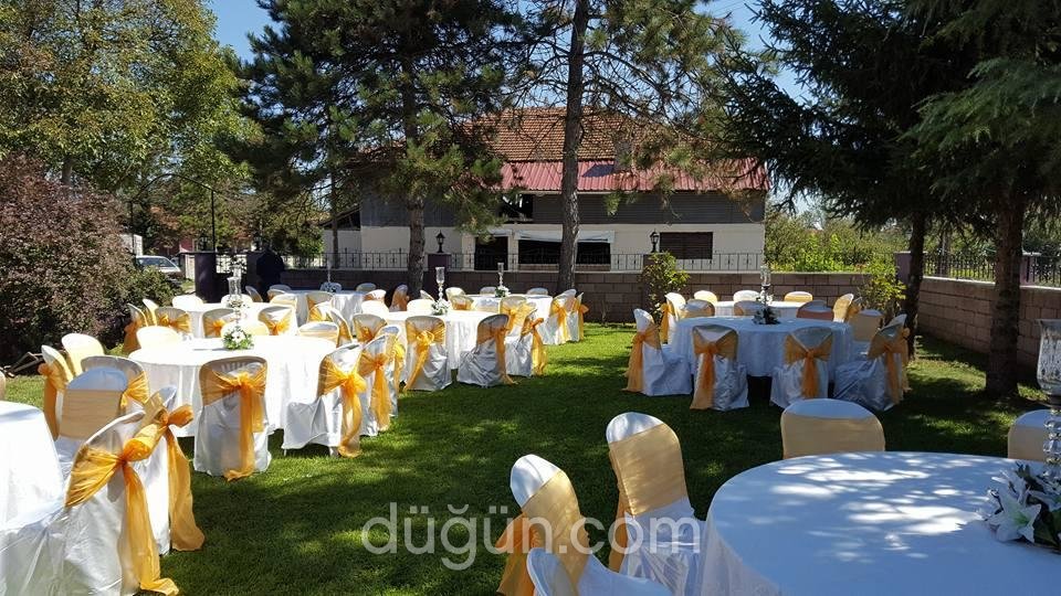 Beyza Davet & Organizasyon