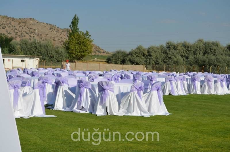 FİB Ajans Show Organizasyon